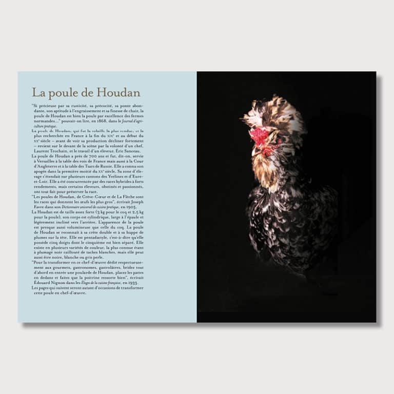 Œuf intrépide <br>et chair de poule – Image 2