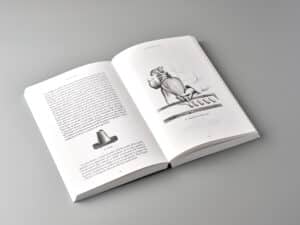 Pages intérieures, illustrations