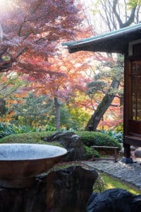tokyo jardin villa