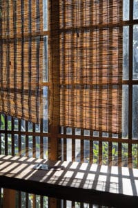 tokyo jardin parc