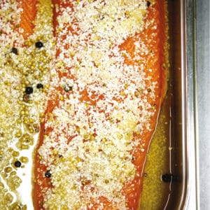 saumon gravlax mariné sel olivier nasti noel recette