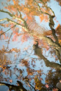 tokyo jardin