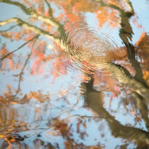 tokyo jardin