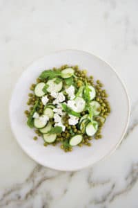 recette froide conserve