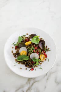 recette froide conserve