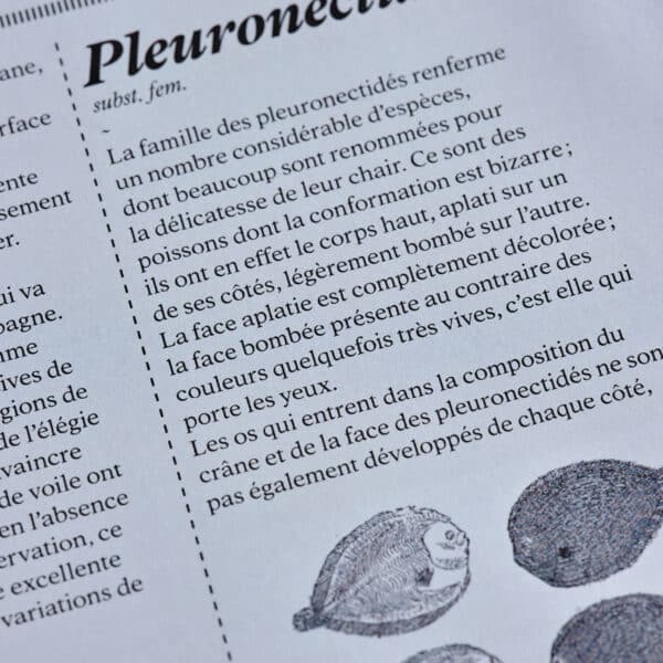 Agueusie n°1 <br>PDF – Image 3