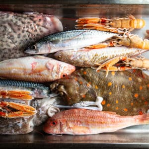 Poissons