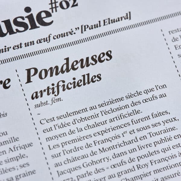 Agueusie n°2 <br>PDF – Image 4