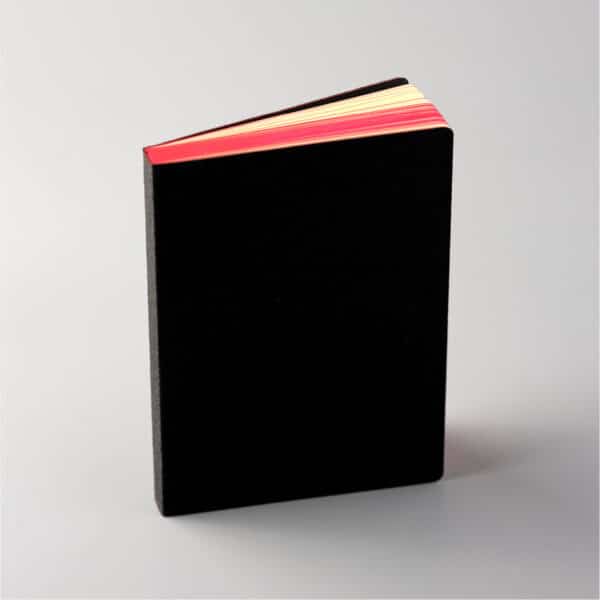 Le Carnet d’Anna