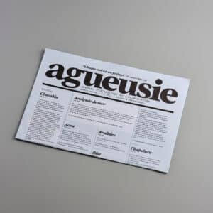 Agueusie n°4 <br>PDF