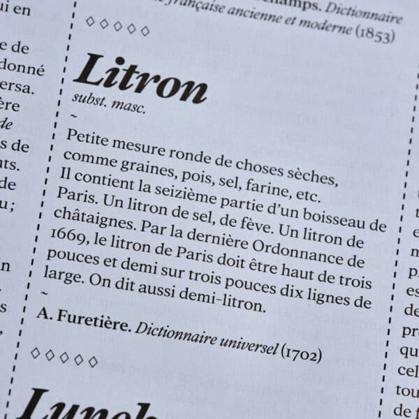 Agueusie n°4 <br>PDF – Image 4
