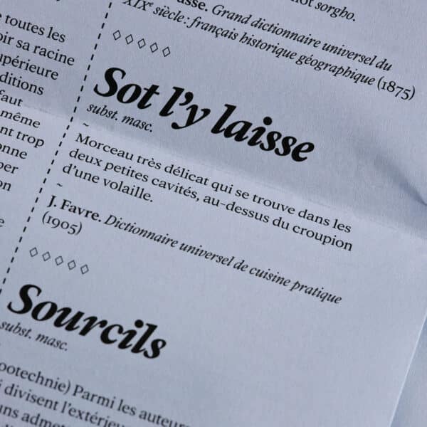 Agueusie n°5 <br>PDF – Image 3