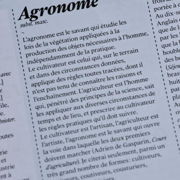 Agueusie n°6 <br>PDF – Image 7