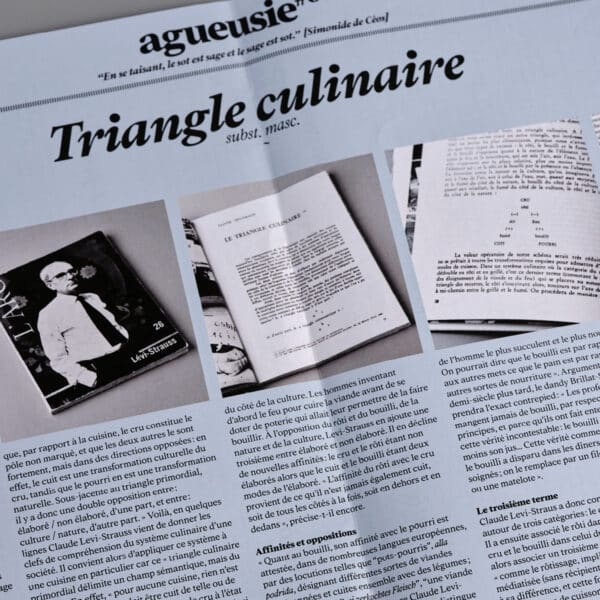 Agueusie n°6 <br>PDF – Image 4