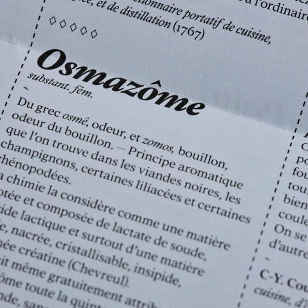 Agueusie n°7 <br>PDF – Image 4
