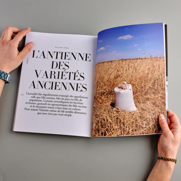 Cérès <br>L’imaginaire <br>des céréales n° 8 – Image 3