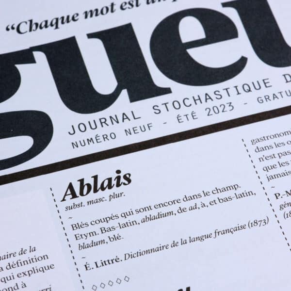 Agueusie n°9 PDF – Image 8