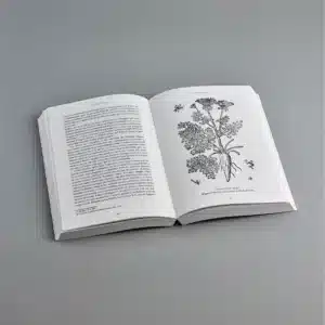 000 Histoiredeslegumes 2