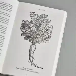 000 Histoiredeslegumes 3