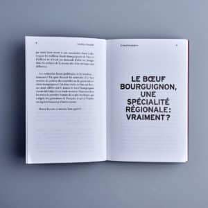 Boeuf bourguignon10