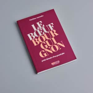 Boeuf bourguignon2