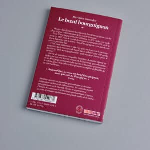 Boeuf bourguignon3