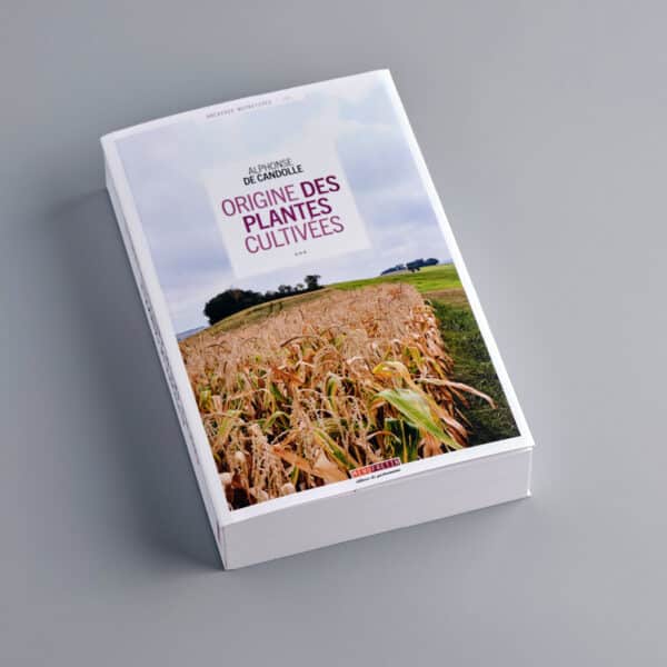 Origine des plantes cultivées – Image 3