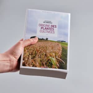 Origine des plantes cultivées