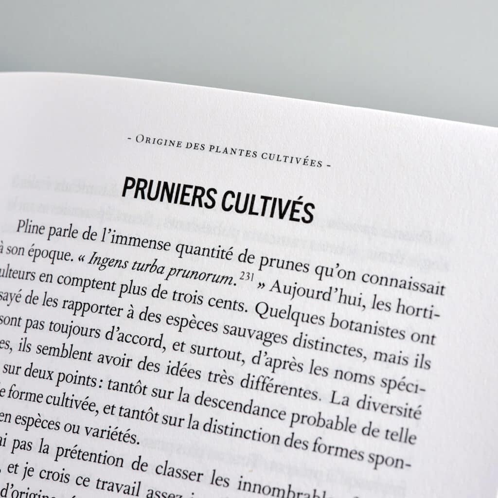 originedesplantes4