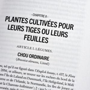 originedesplantes7
